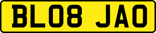 BL08JAO