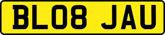 BL08JAU