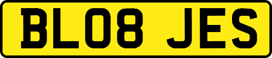 BL08JES