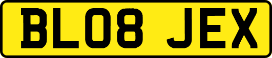BL08JEX