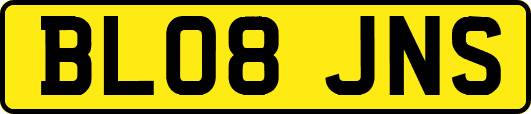 BL08JNS