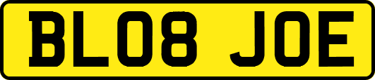 BL08JOE