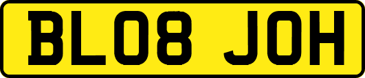 BL08JOH