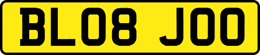 BL08JOO