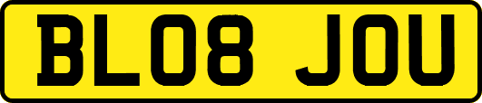 BL08JOU