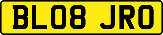 BL08JRO
