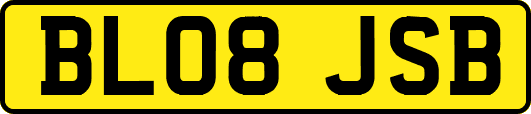 BL08JSB