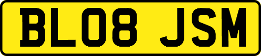 BL08JSM