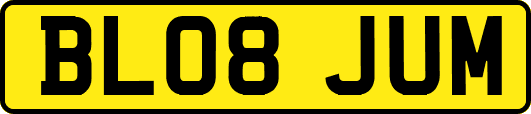 BL08JUM