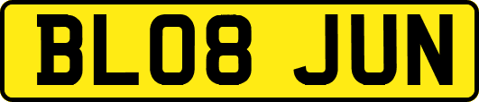 BL08JUN