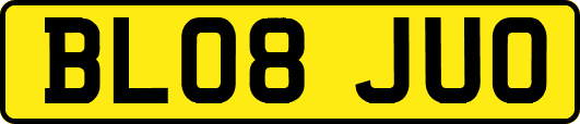 BL08JUO