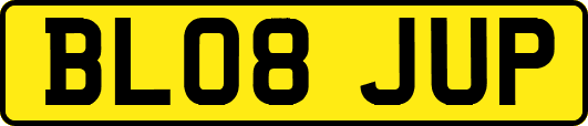 BL08JUP