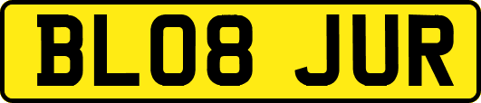 BL08JUR