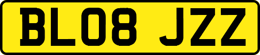 BL08JZZ