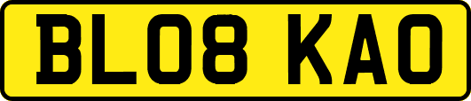 BL08KAO