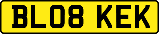 BL08KEK