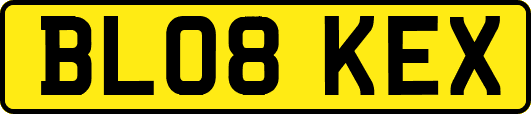 BL08KEX