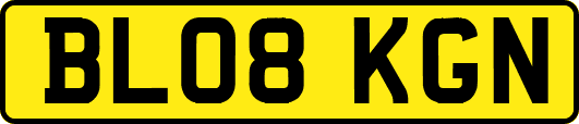 BL08KGN