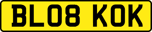 BL08KOK