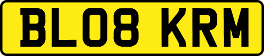 BL08KRM
