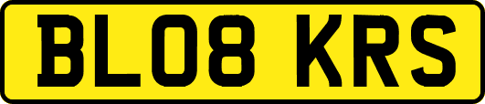BL08KRS