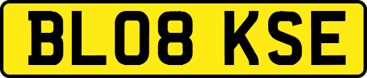 BL08KSE