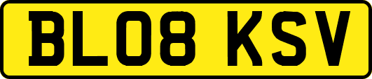 BL08KSV
