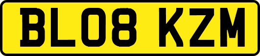 BL08KZM