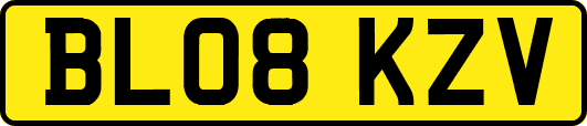 BL08KZV