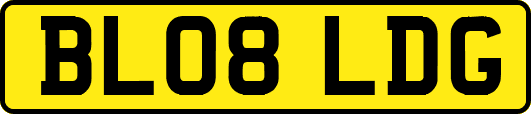 BL08LDG