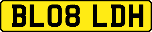 BL08LDH