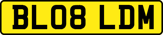 BL08LDM