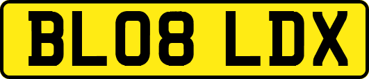 BL08LDX