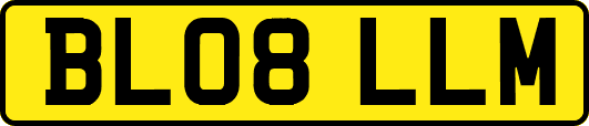 BL08LLM