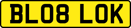 BL08LOK