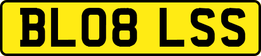 BL08LSS
