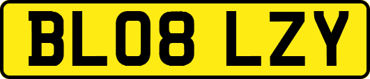 BL08LZY