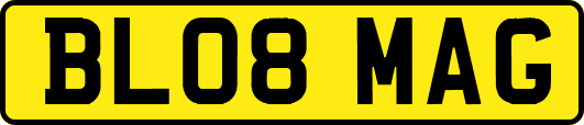 BL08MAG