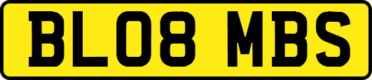 BL08MBS
