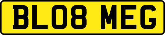 BL08MEG