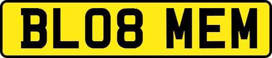 BL08MEM