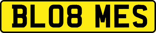 BL08MES