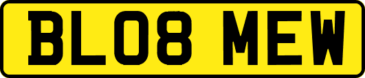 BL08MEW