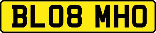 BL08MHO