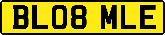 BL08MLE