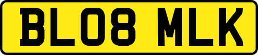 BL08MLK