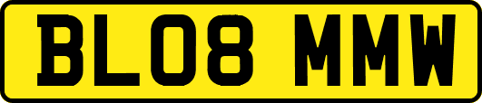 BL08MMW