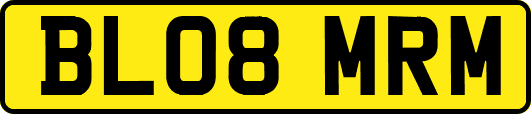 BL08MRM