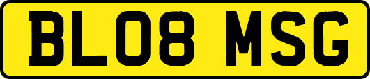 BL08MSG