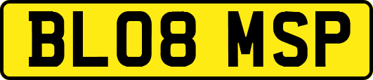 BL08MSP